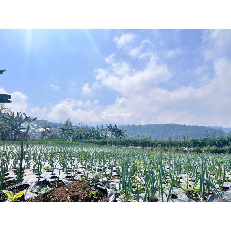 Dijual Tanah 7000m Cocok Untuk Wisata Kebun Buah Ngargoyoso - Karanganyar