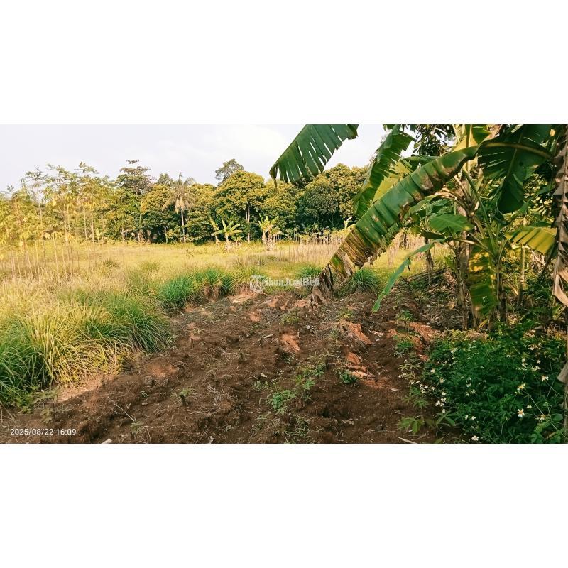 Jual Tanah Komersial 3303 m2 Setu - Bekasi