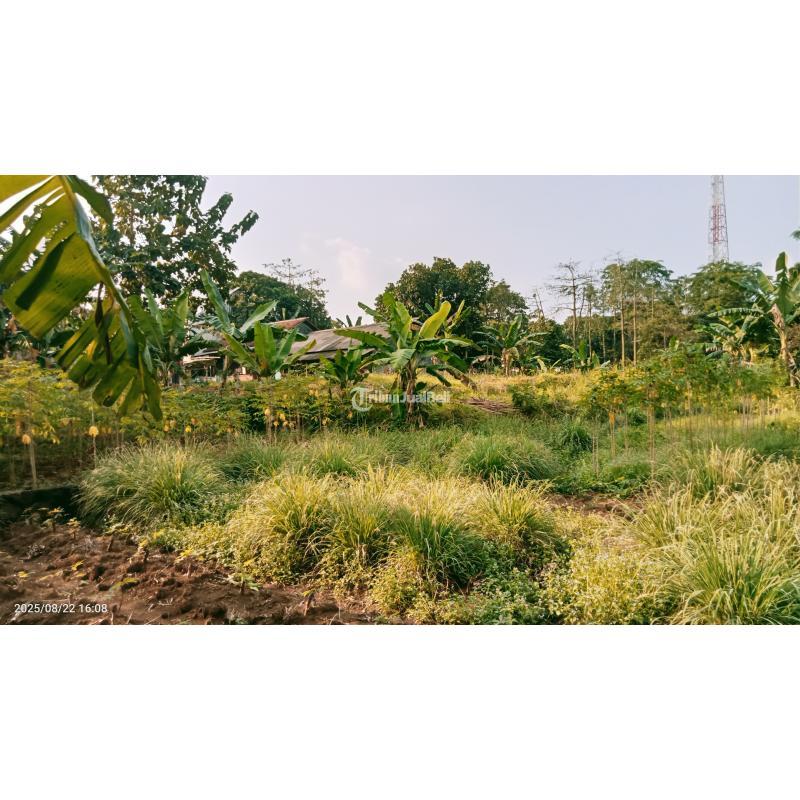 Jual Tanah Komersial 3303 m2 Setu - Bekasi