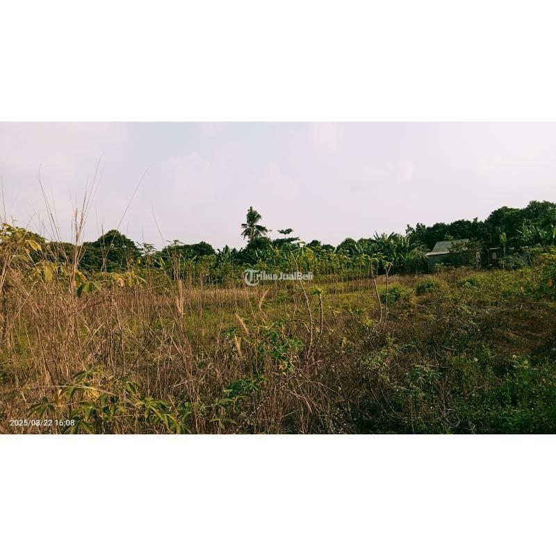 Jual Tanah Komersial 3303 m2 Setu - Bekasi