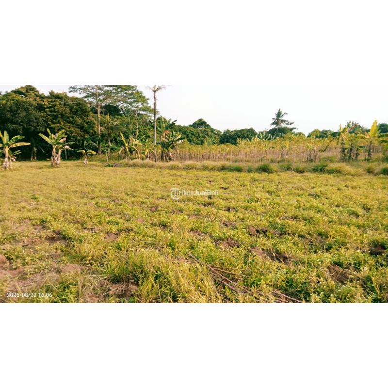 Jual Tanah Komersial 3303 m2 Setu - Bekasi