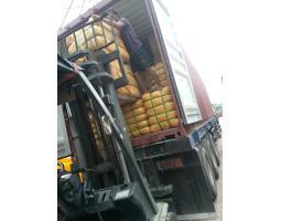 Sewa Forklift Murah dan Terpercaya - Tangerang 