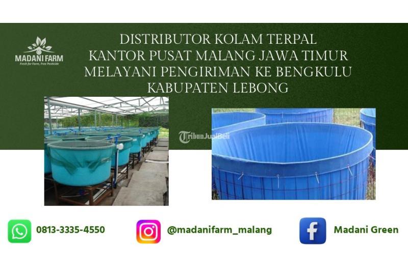 Promo Pabrik Pusat Agen Grosir Kolam Terpal - Lebong