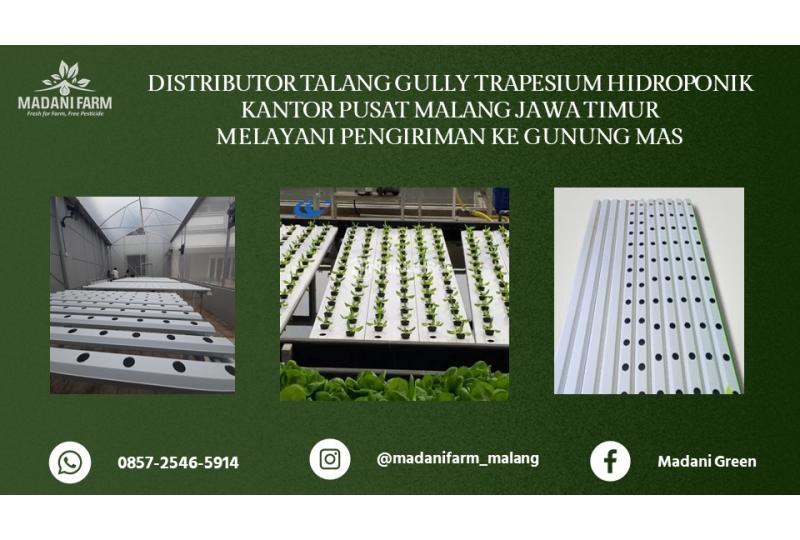 Pabrik Pusat Agen Grosir Talang Gully Trapesium - Malang Kota