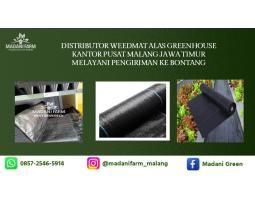 Pabrik Pusat Agen Grosir Weedmat - Malang