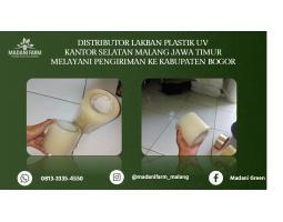 Agen Grosir Lakban UV - Bogor