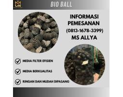 Bio Ball - Purwakarta