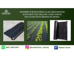 Pabrik Toko Weedmat Ground Net Alas Greenhouse - Malang Kota