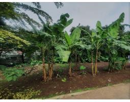 Dijual Tanah Murah, Luas 2600m2, Shm, Dekat Tol Dan Fasilitas Umum, 2 menit ke Depok Town Square - Depok