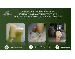 Pabrik Pusat Agen Grosir Lak Ban UV - Palembang
