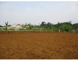 Dijual 20 Bidang Tanah Dengan Luas 168.149 m2 - Bogor Kota