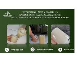 Agen Grosir Lak Ban UV - Way Kanan