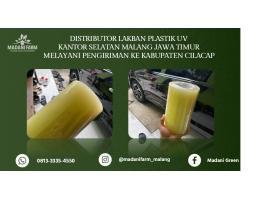 Promo  Agen Grosir Lakban UV - Cilacap