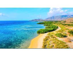 Jual Tanah 75.737 m2 di Los Pantai Tua Nanga Poto Tano - Sumbawa Barat