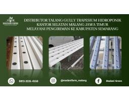 Agen Grosir Talang Gully - Semarang