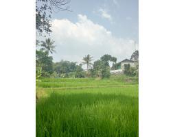 Dijual Tanah 2480 Meter Surat AJB per Meter 500rb - Sukabumi