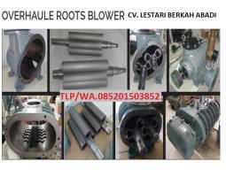 Jasa Service Mesin Root Blower STP - Batang