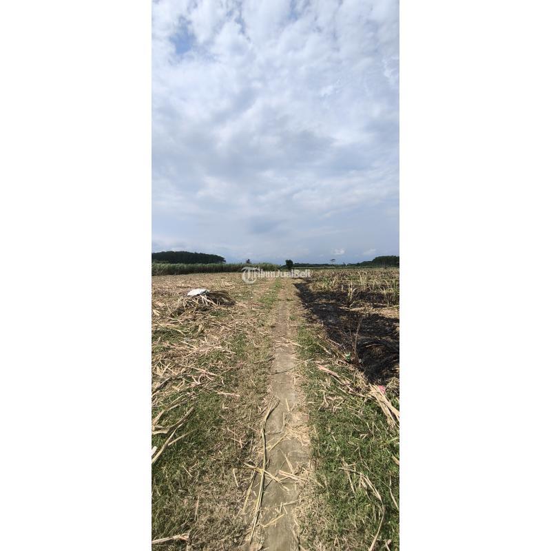 Dijual Tanah Komersil Legalitas SHM Tanpa Perantara - Lumajang