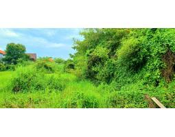 Dijual Tanah 1520 m2 Area Gatsu Barat dekat Jl Cargo, Mahendradata, Buluh Indah - Denpasar Bali