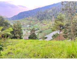 Jual Tanah 275 Juta Kawasan Wisata Ngargoyoso - Karanganyar