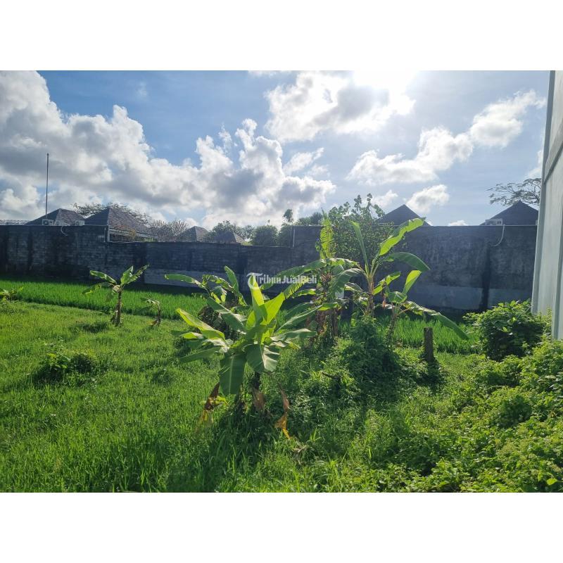 Disewakan Tanah Area Petitenget Seminyak Petitenget Seminyak Kuta Utara - Badung Bali