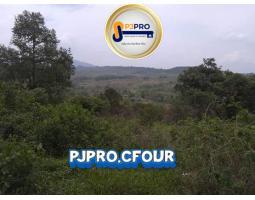 Dijual Tanah Cantik, Luas 24 Hektar, Kontur Tanah Padat, Kering Rata Dan Landai, Sertifikat Shm - Bogor