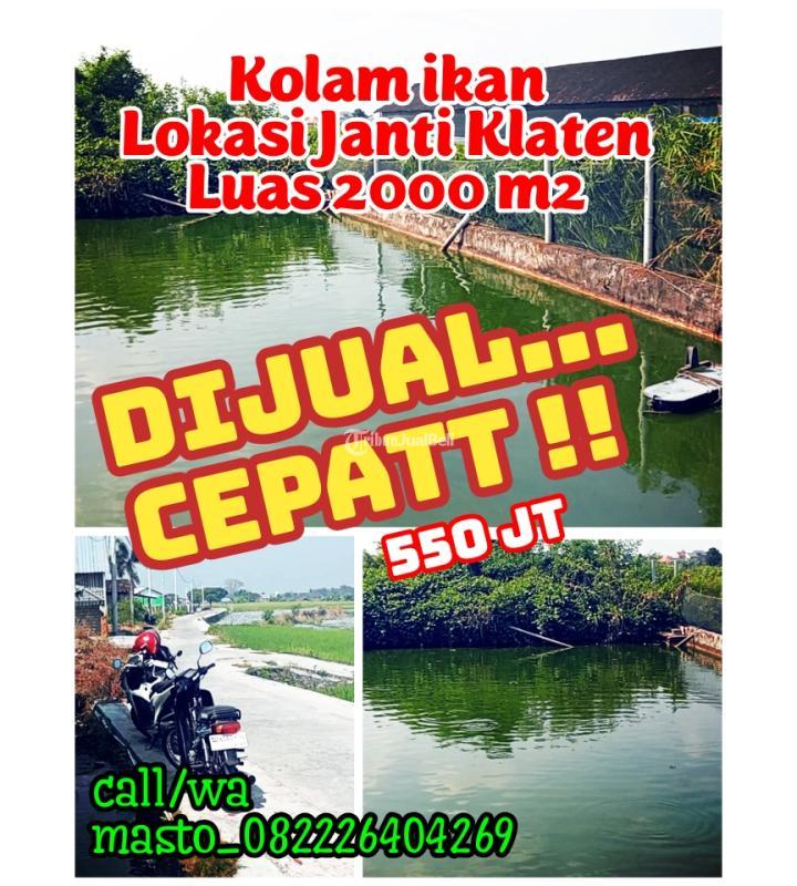 Dijual Tanah Kolam Ikan, Luas 2000m2, Shm, Siap Pakai, Akses Jalan Cor, Dekat Wisata Janti - Klaten