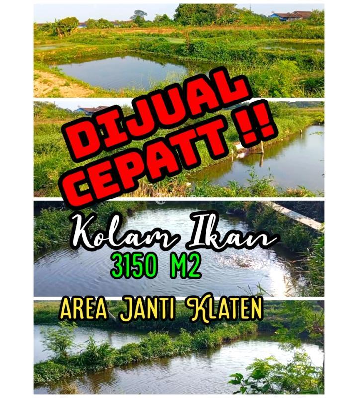 Dijual Tanah kolam ikan 3150m2 Janti Klaten 750 Juta - Klaten