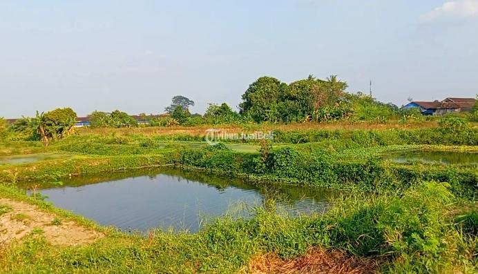 Dijual Tanah kolam ikan 3150m2 Janti Klaten 750 Juta - Klaten