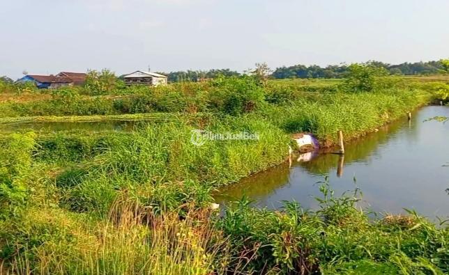 Dijual Tanah kolam ikan 3150m2 Janti Klaten 750 Juta - Klaten