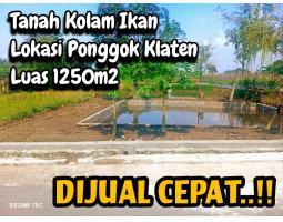 Dijual Tanah Kolam Ikan 1250m2 di Ponggok Klaten 550 Juta - Klaten 