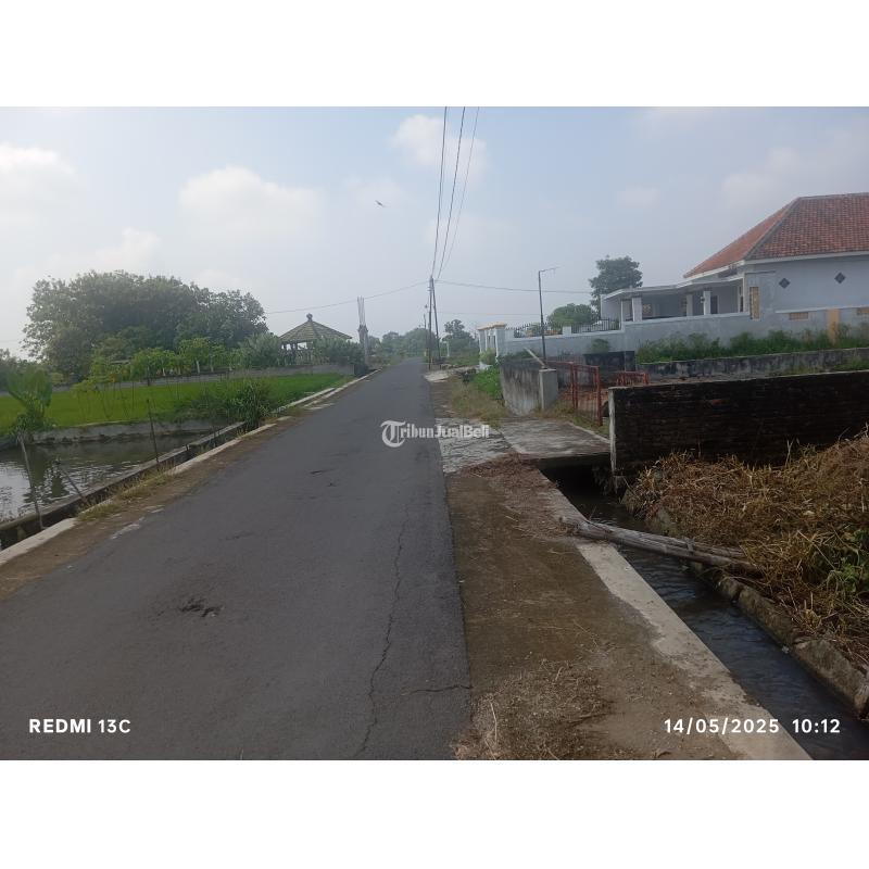 Dijual Tanah Kolam Ikan 1250m2 di Ponggok Klaten 550 Juta - Klaten