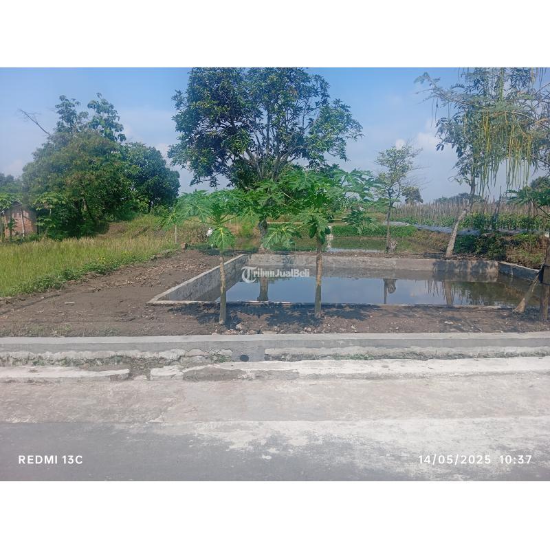 Dijual Tanah Kolam Ikan 1250m2 di Ponggok Klaten 550 Juta - Klaten