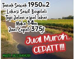Dijual Tanah 1950m2 di Sawit Boyolali Harga 375 Juta - Boyolali
