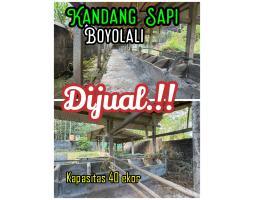 Dijual Kandang Sapi 2000m2 Boyolali Harga 1,1 M Nego Pemilik - Boyolali 
