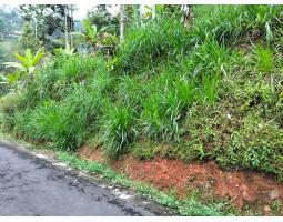 Dijual Tanah 90 Juta Udara Dingin Ngargoyoso Legalitas SHM Siap Bangun - Karanganyar 