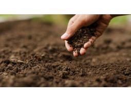 Dijual Tanah IT Serpong