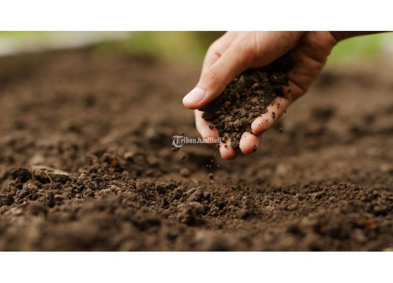 Dijual Tanah IT Serpong