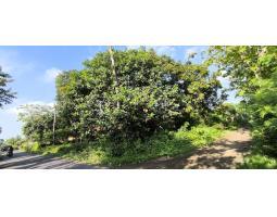 Dijual Tanah Pekarangan Pemukiman Luas 760 M - Lumajang