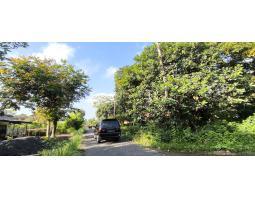 Dijual Tanah Pekarangan Pemukiman Luas 760 M - Lumajang