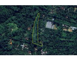 Dijual Tanah Perkebunan di Jalan Raya Payangan - Gianyar 