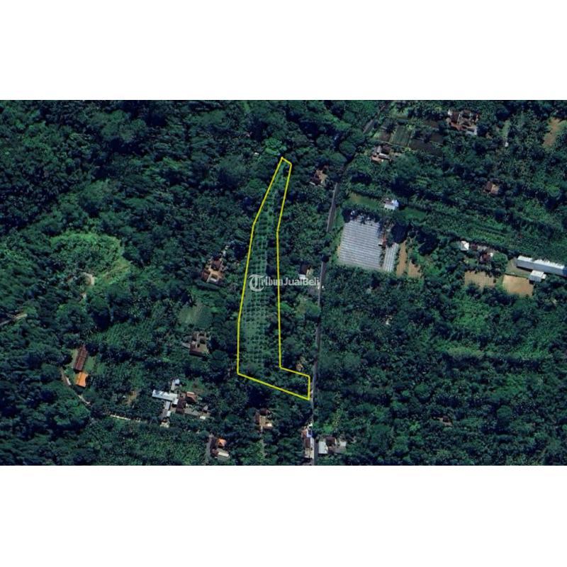 Dijual Tanah Perkebunan di Jalan Raya Payangan - Gianyar