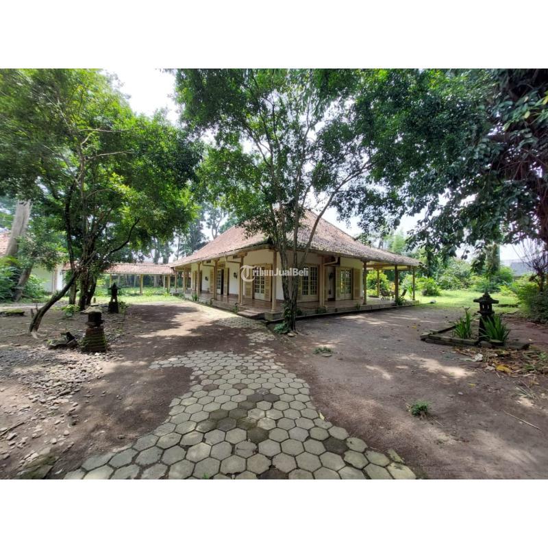 Jual Tanah Luas 4.820 m2 Super Strategis Bonus Rumah Di Pogung - Sleman