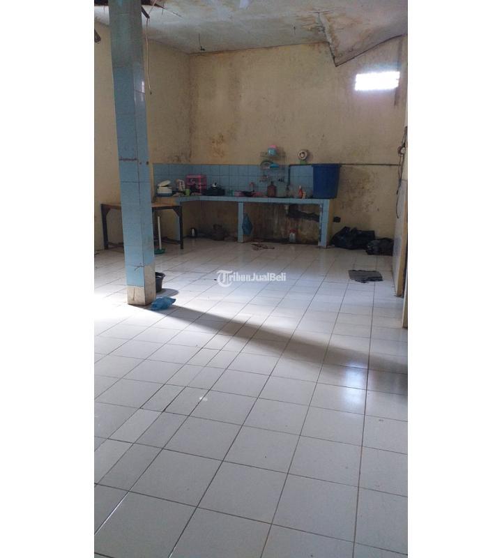 Rumah Kontrakkan Luas 170 m2 Di Buana Raya Dekat Jalan Mahendradatta - Denpasar