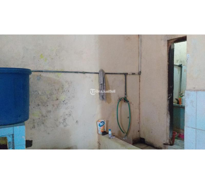 Rumah Kontrakkan Luas 170 m2 Di Buana Raya Dekat Jalan Mahendradatta - Denpasar