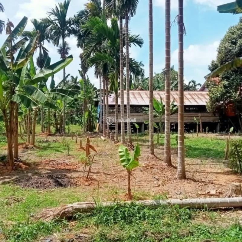 Dijual Tanah Murah Pontianak Ukuran Lebih Luas 10x26 - Pontianak