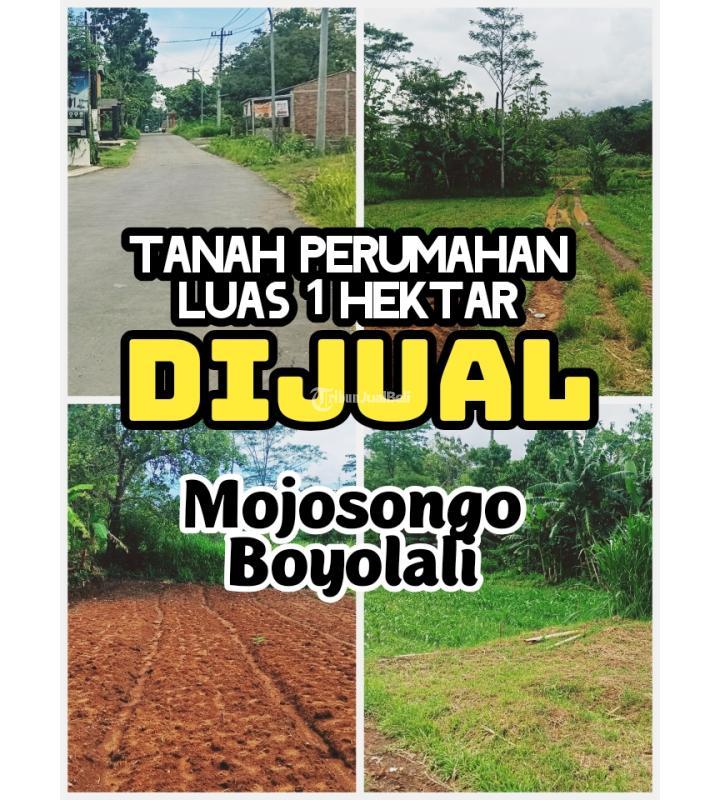 Dijual Tanah Perumahan 1 Ha Mojosongo 450rb per m2 - Boyolali