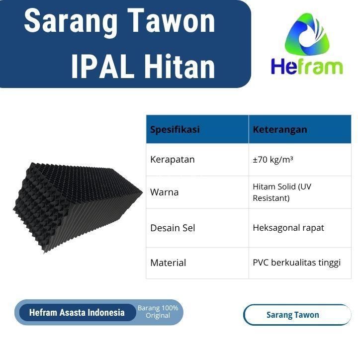 Sarang Tawon Ipal Hitam - Bogor