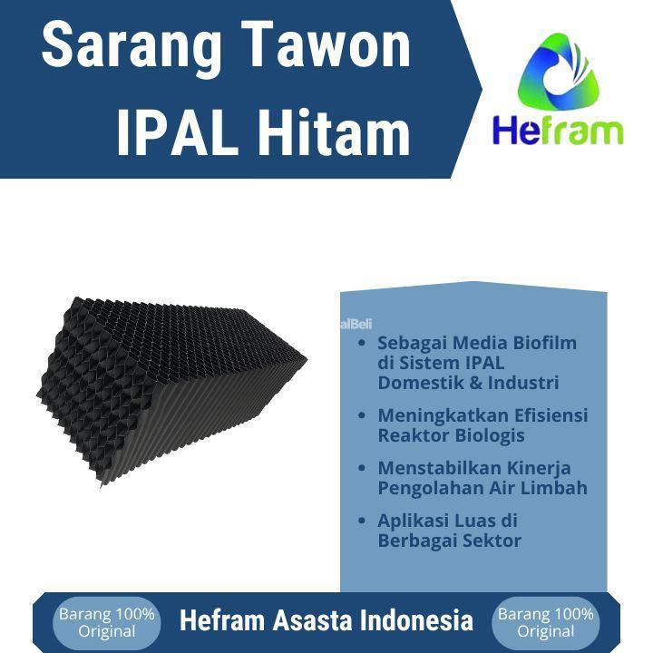 Sarang Tawon Ipal Hitam - Bogor