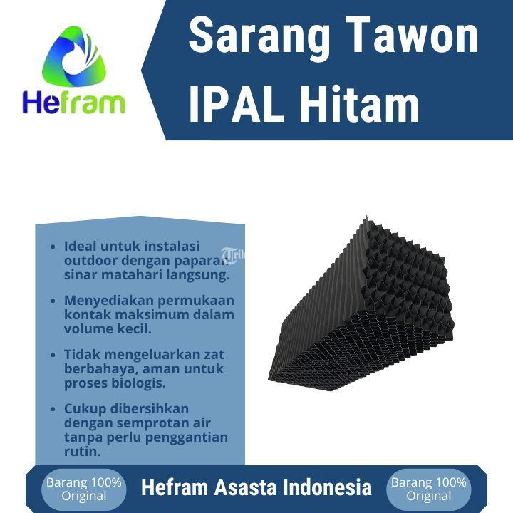 Sarang Tawon Ipal Hitam - Bogor